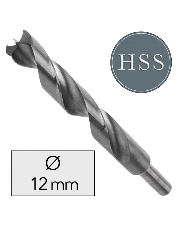Fi 12 mm Wiertło do drewna HSS Professional